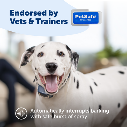 Spray Refill - Unscented (3-Pack)