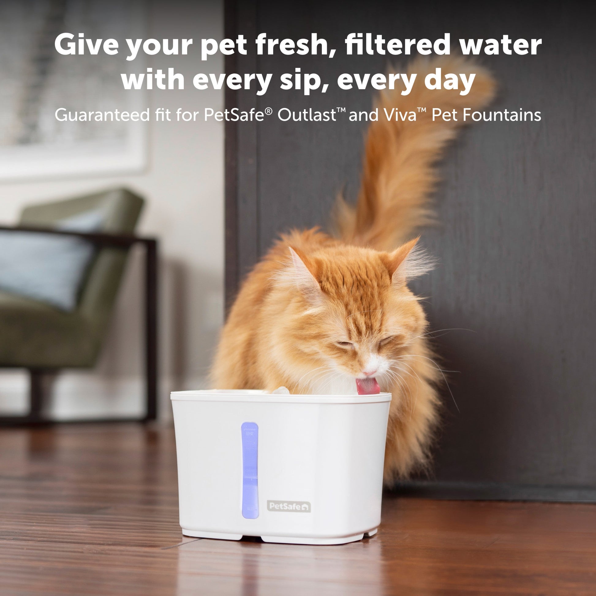 Give your pet fresh, filtered water with every sip, every day