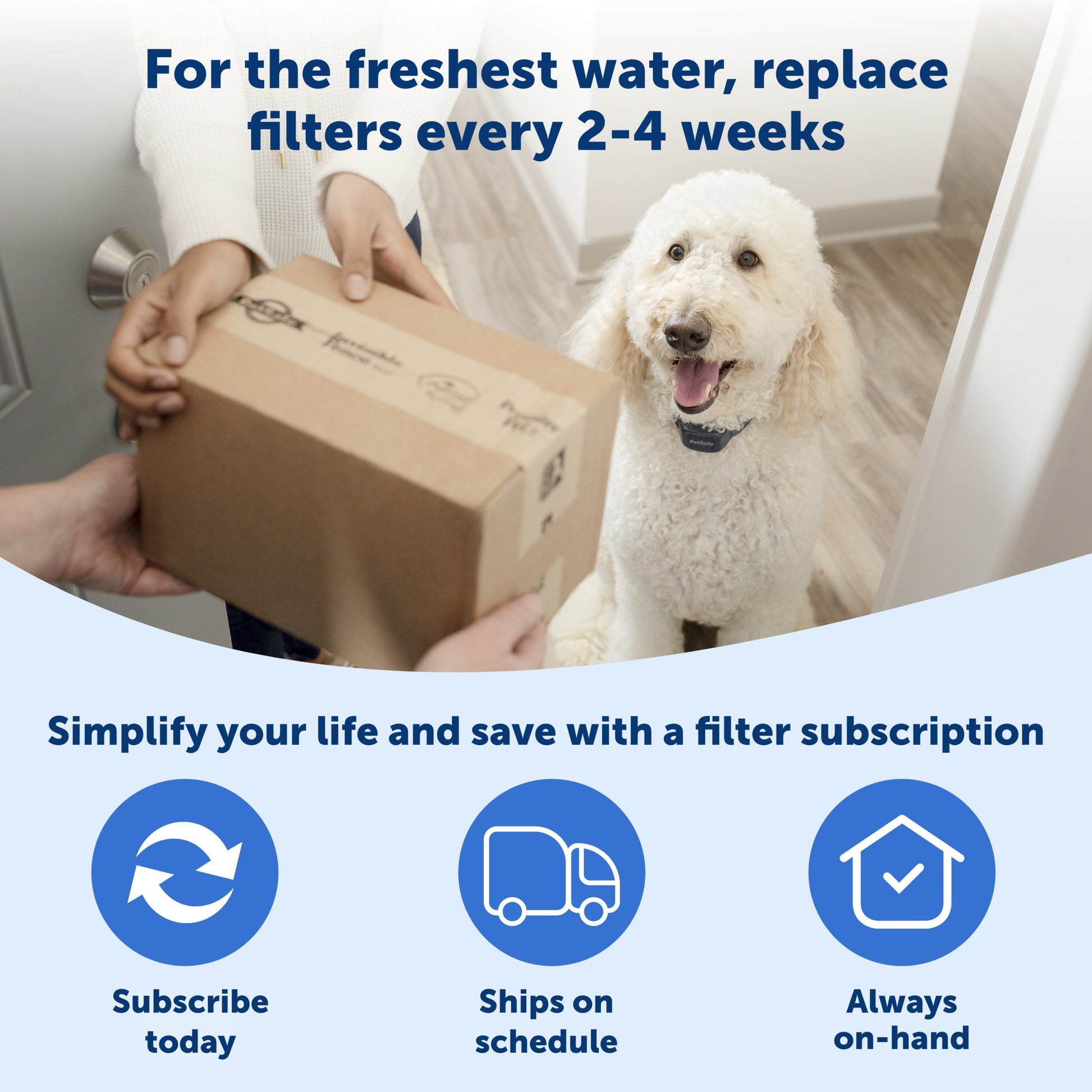 Replace filters ever 2-4 weeks