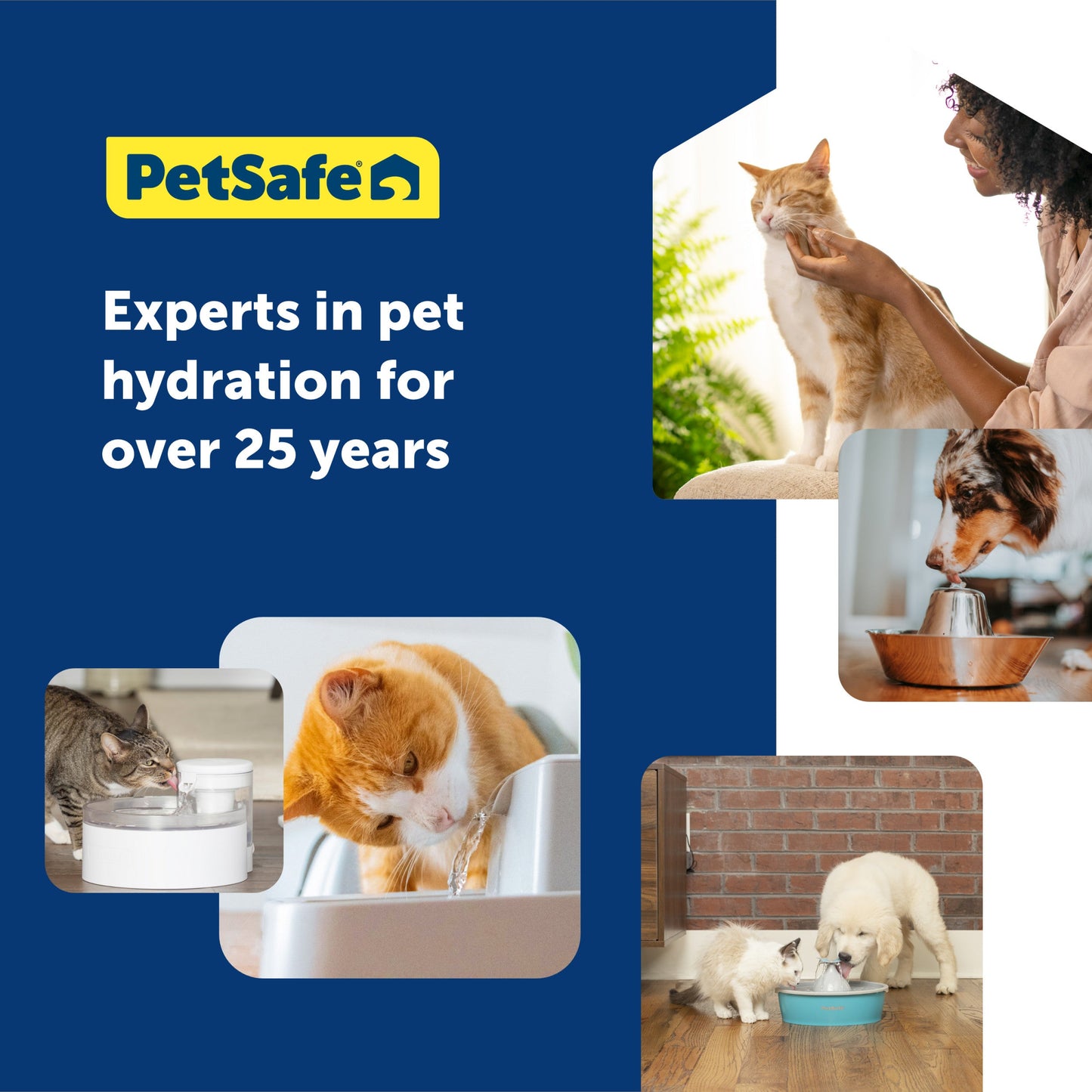 Experts in pet hydration for over 25 years