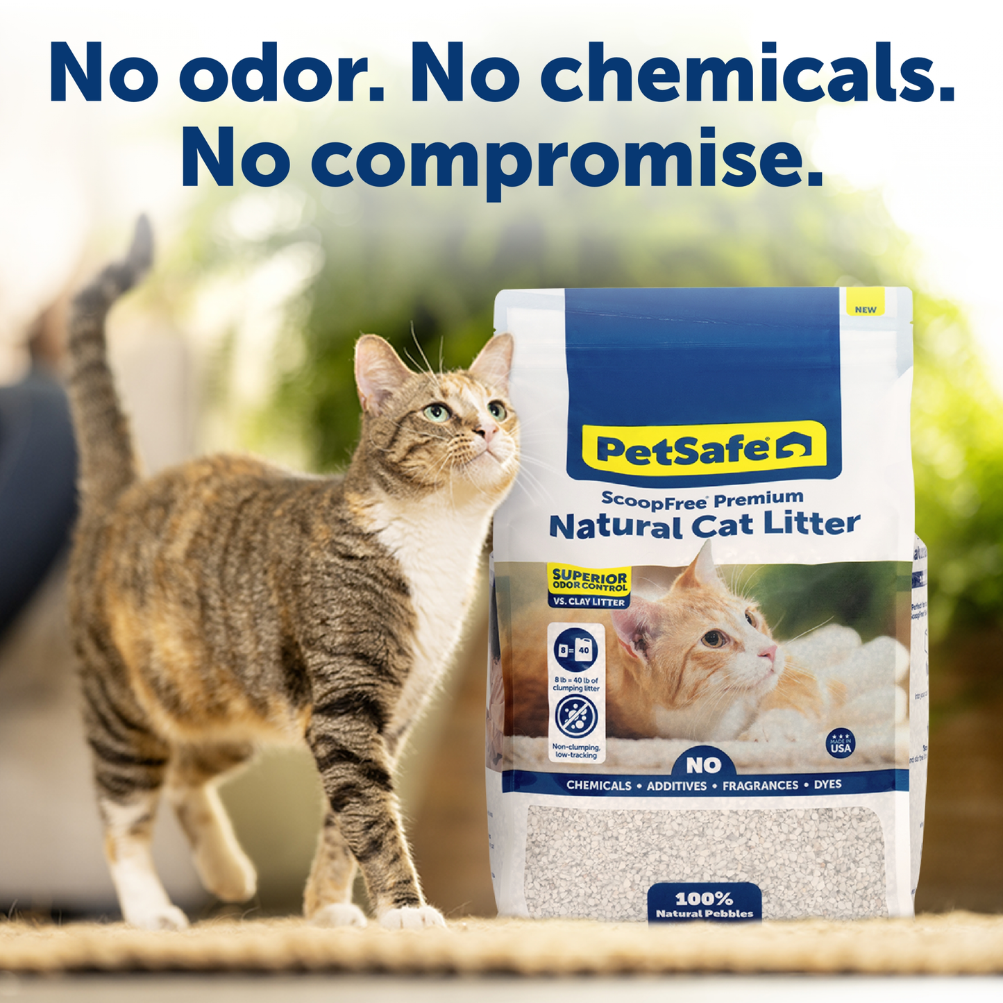 Natural Cat Litter - ScoopFree® Premium Fragrance-Free 8 lb