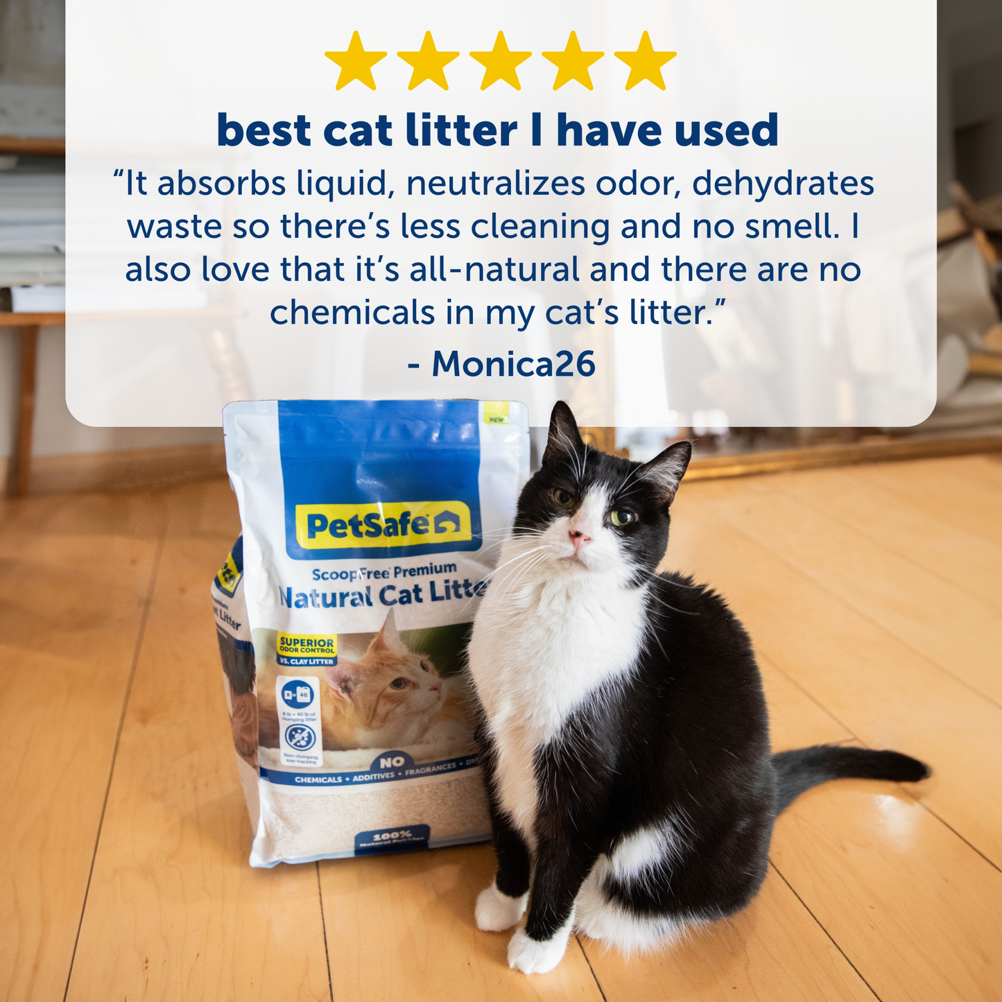 Natural Cat Litter - ScoopFree® Premium Fragrance-Free 8 lb