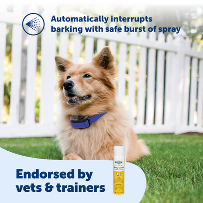 Citronella Spray Can Refill