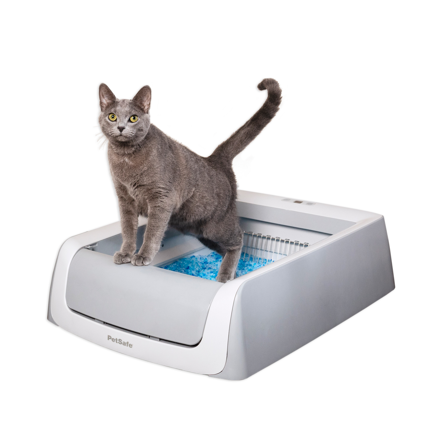 Automatic Litter Box - ScoopFree® Crystal Pro Legacy Self-Cleaning
