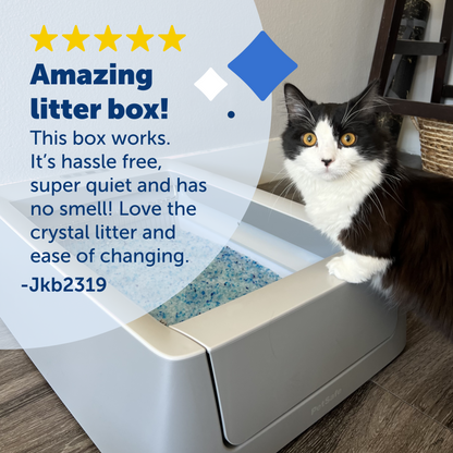 Smart Self-Cleaning Litter Box - ScoopFree® Crystal Smart