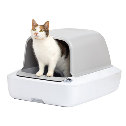 Cat standing inside a modern litter box on a white background