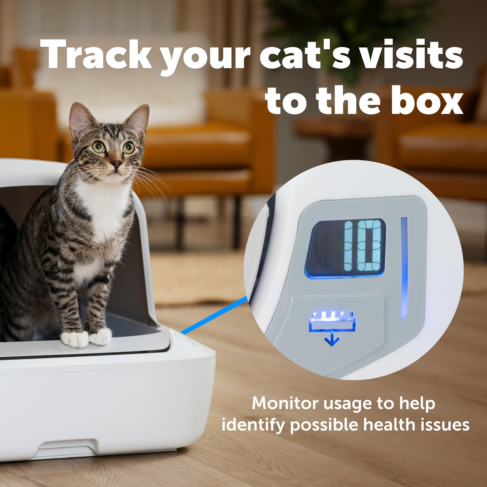 Cat in litter box and a pet activity monitor displayed with text on screen