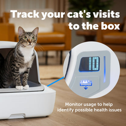 Cat in litter box and a pet activity monitor displayed with text on screen