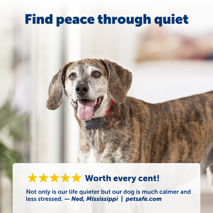 Basic Bark Control Collar