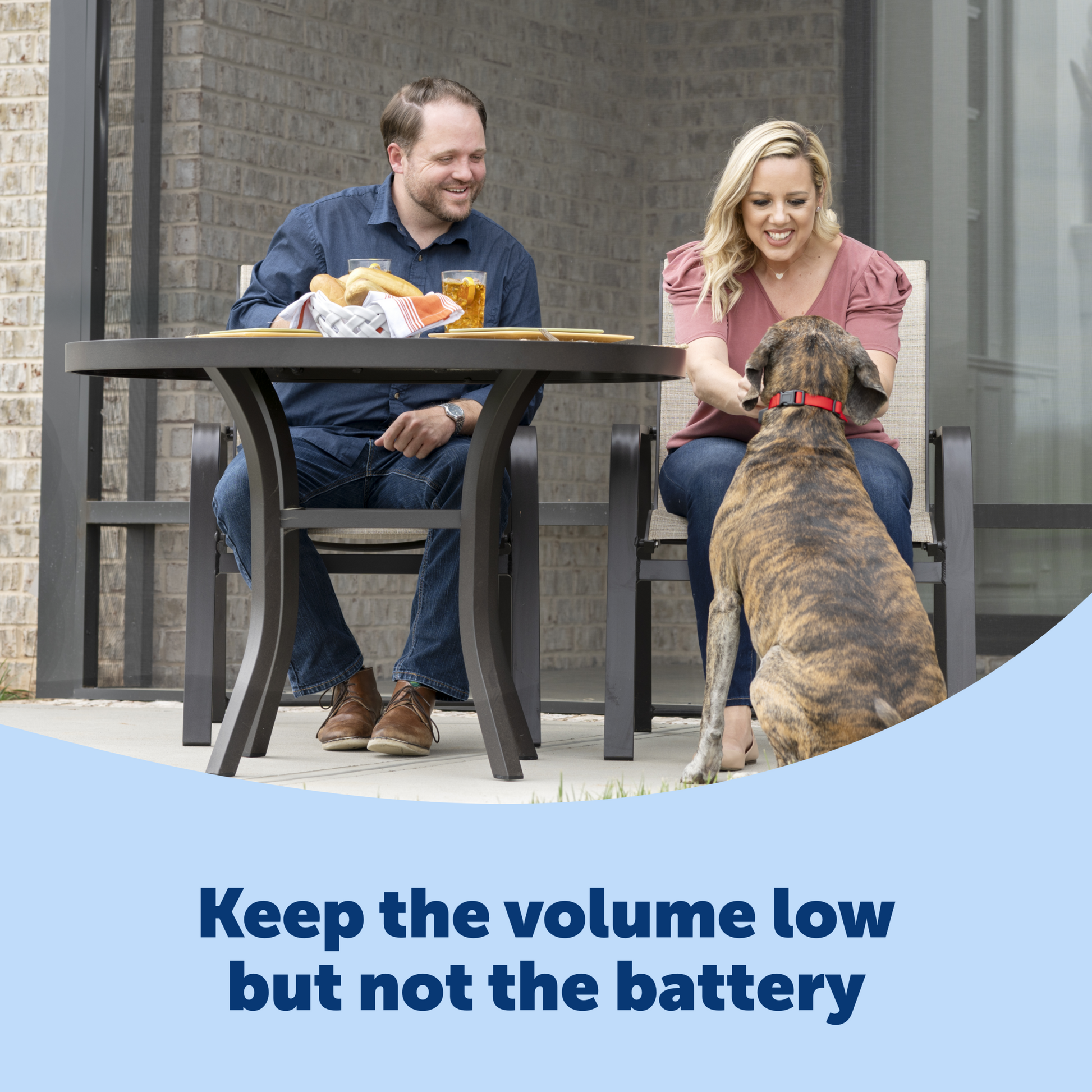 Basic Bark Control Collar