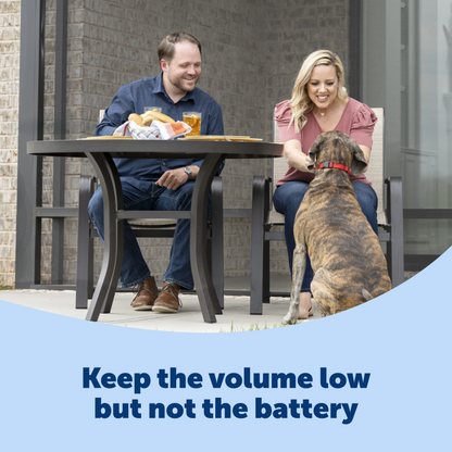 Basic Bark Control Collar