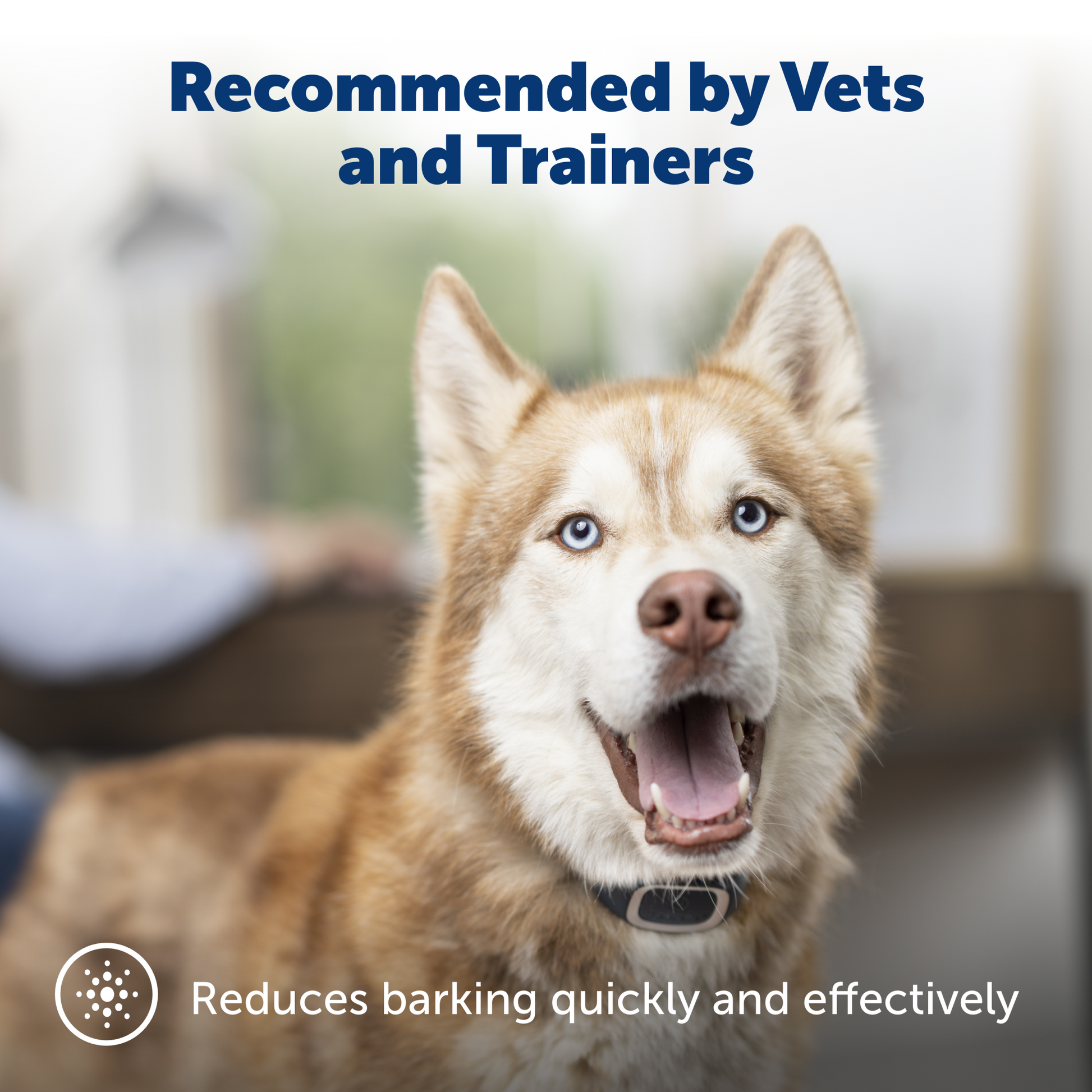 shepherd with bark collar recommended by vets and trainers