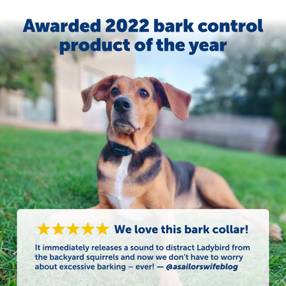 Audible Bark Collar