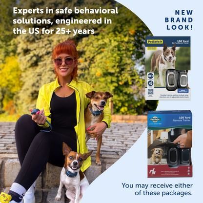 pet and owner enjoying time together