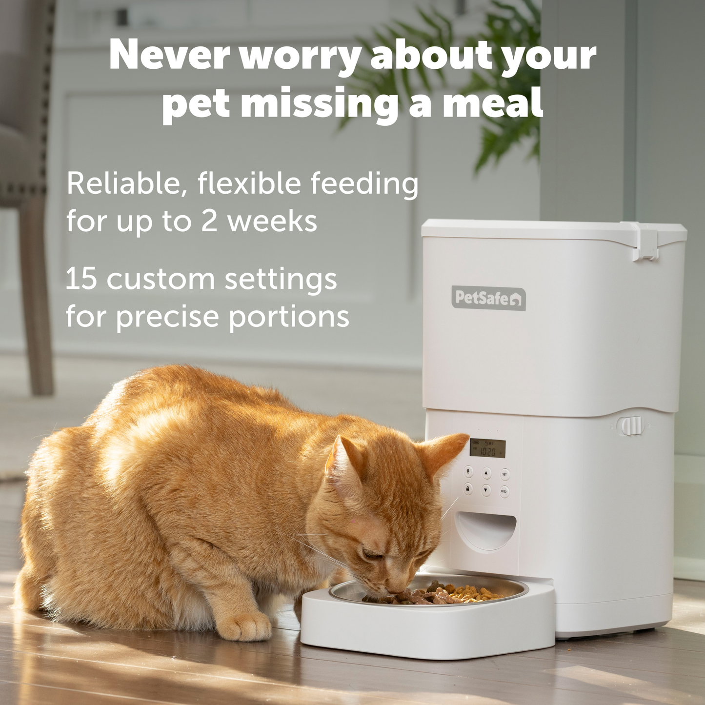 FlexFeed Automatic Pet Feeder