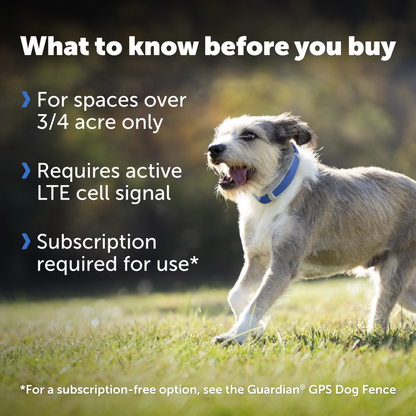 Guardian® GPS + Tracking Dog Fence Collar