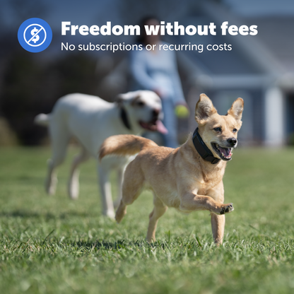 Guardian® GPS Add-A-Dog® Collar