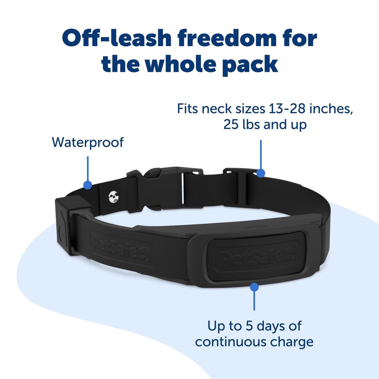 Black dog collar with features highlighted on a white background