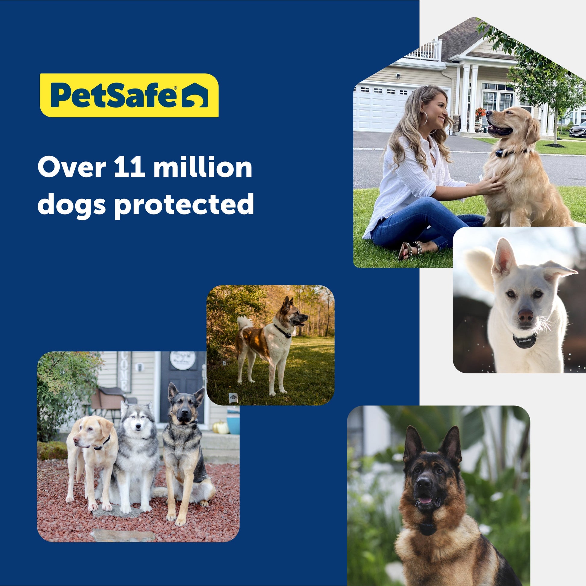 Advertisement for Petsafe with images of dogs and a woman, featuring the brand's slogan 'Over 11 million dogs protected'.