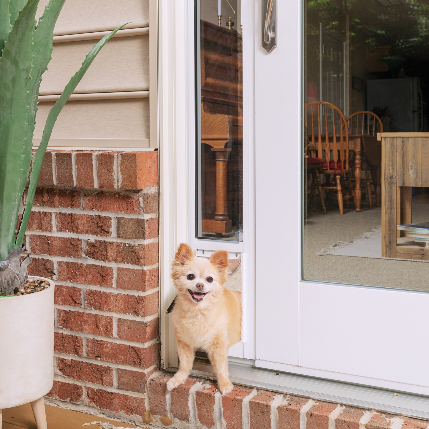 Sliding Glass Pet Door, 2 Piece