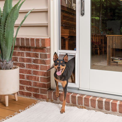 Sliding Glass Pet Door, 2 Piece