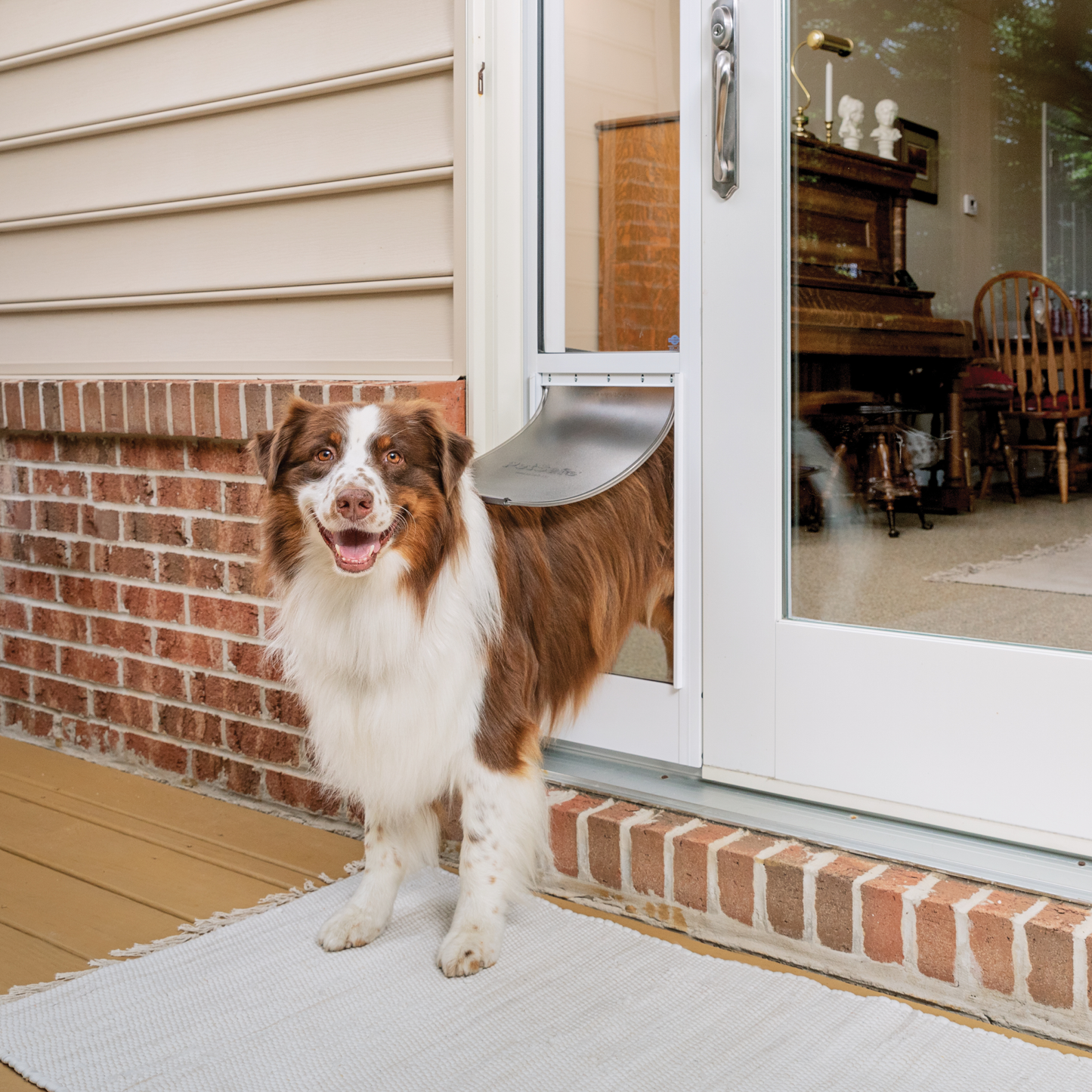 Sliding Glass Pet Door, 2 Piece