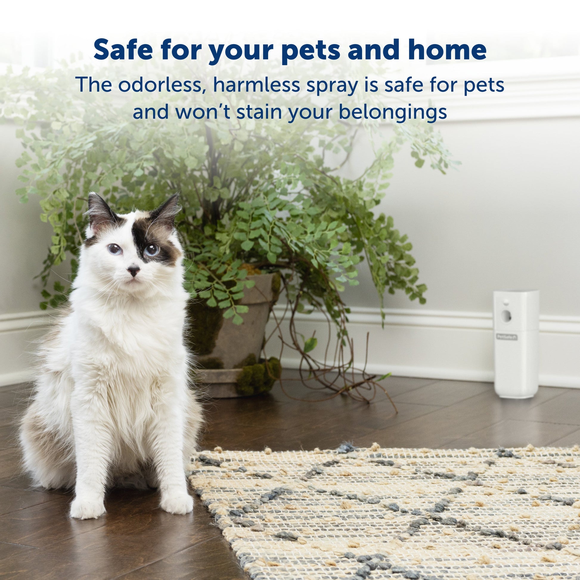 Safe for your pets and home