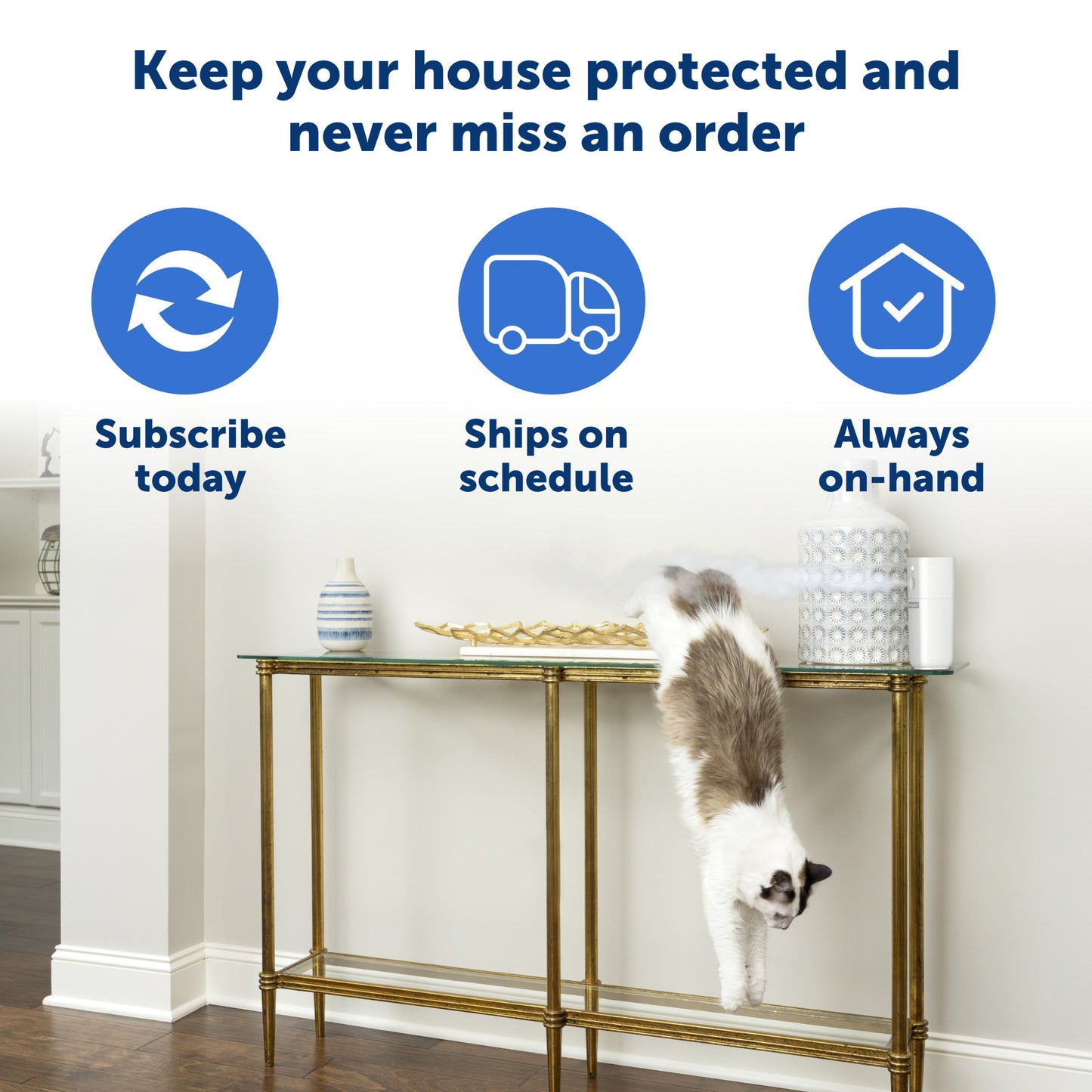 Keep your house protected and never miss an order
