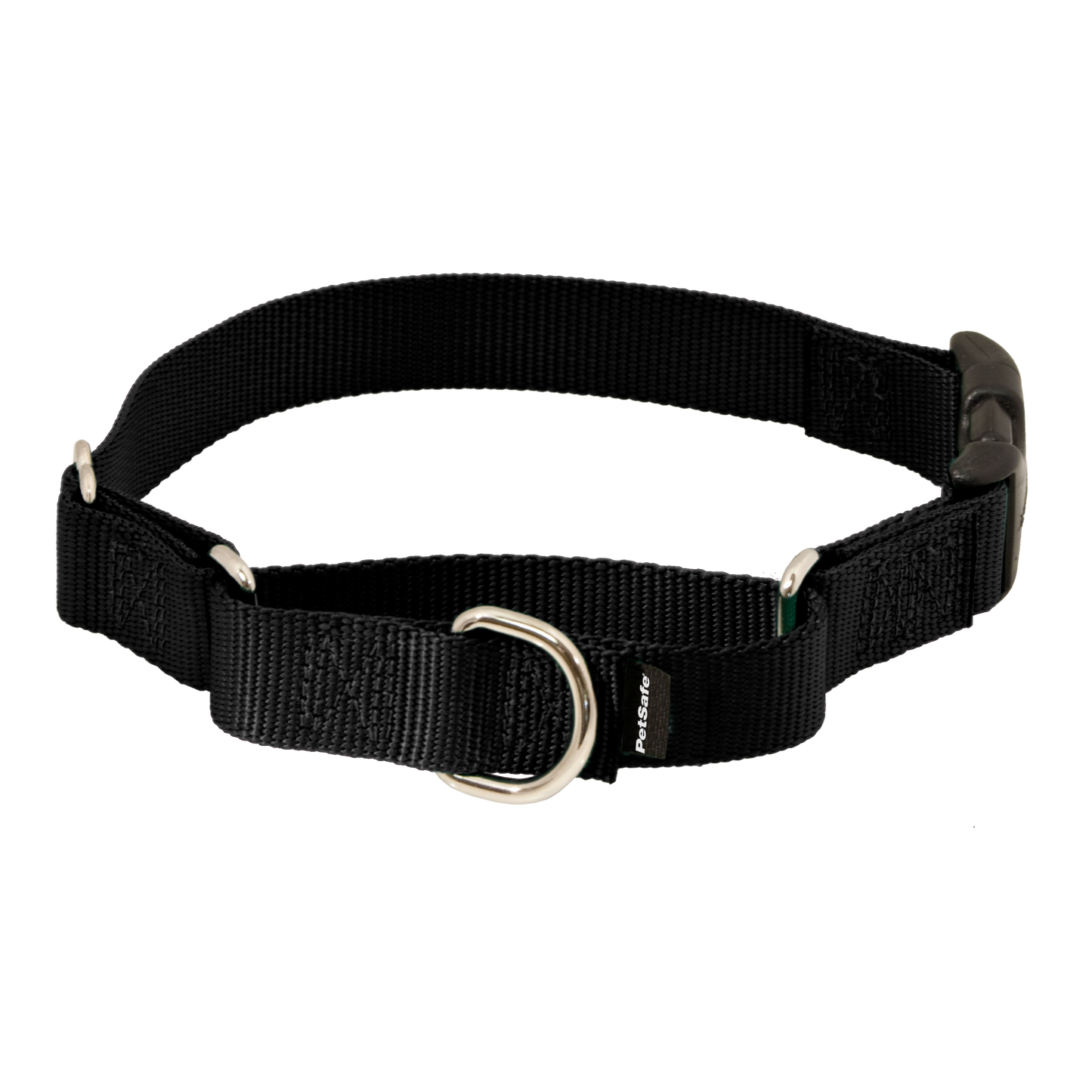 Martingale Collar with Quick Snap Buckle