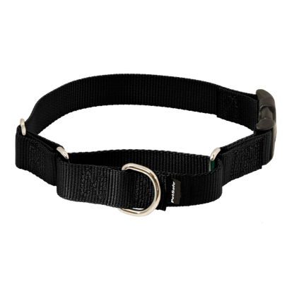 Martingale Collar with Quick Snap Buckle