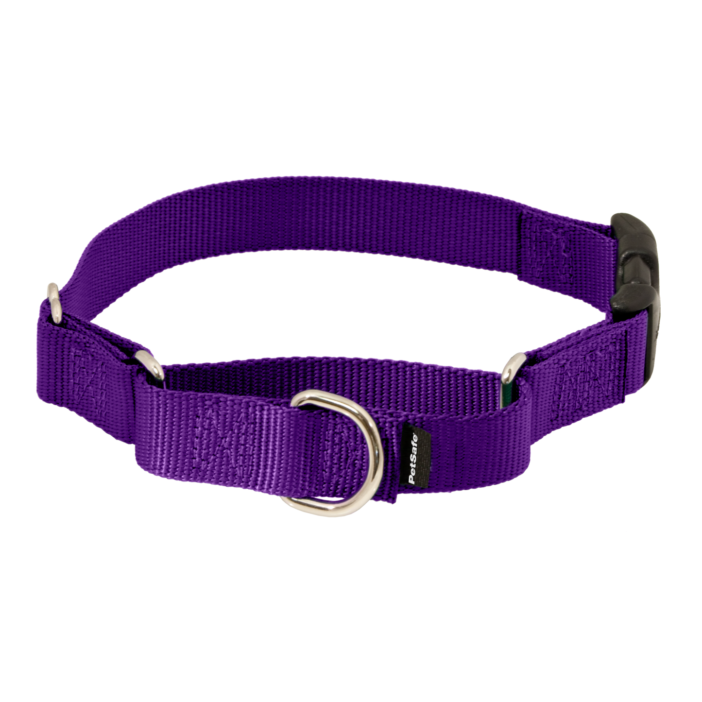 Martingale Collar with Quick Snap Buckle