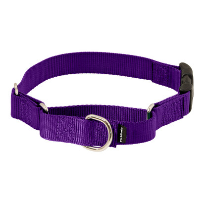 Martingale Collar with Quick Snap Buckle