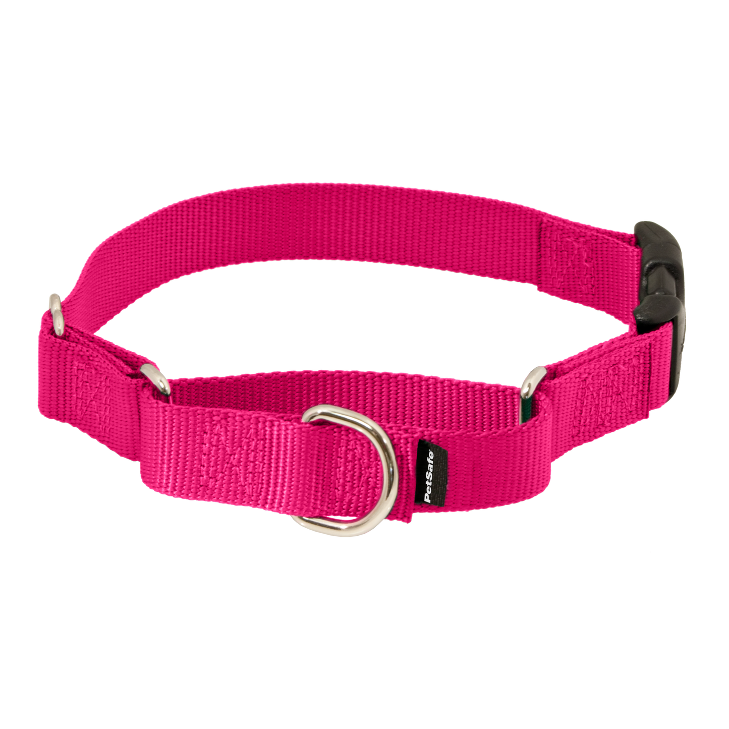 Martingale Collar with Quick Snap Buckle