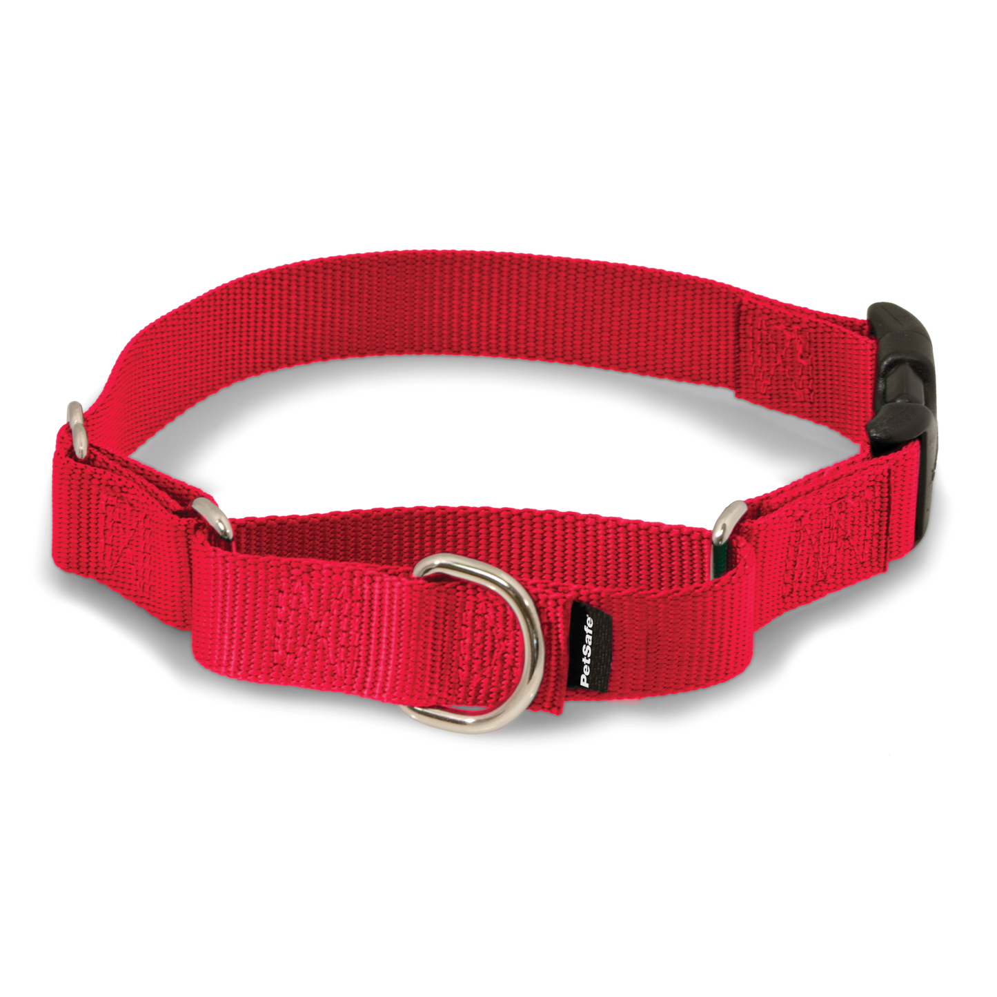Martingale Collar with Quick Snap Buckle