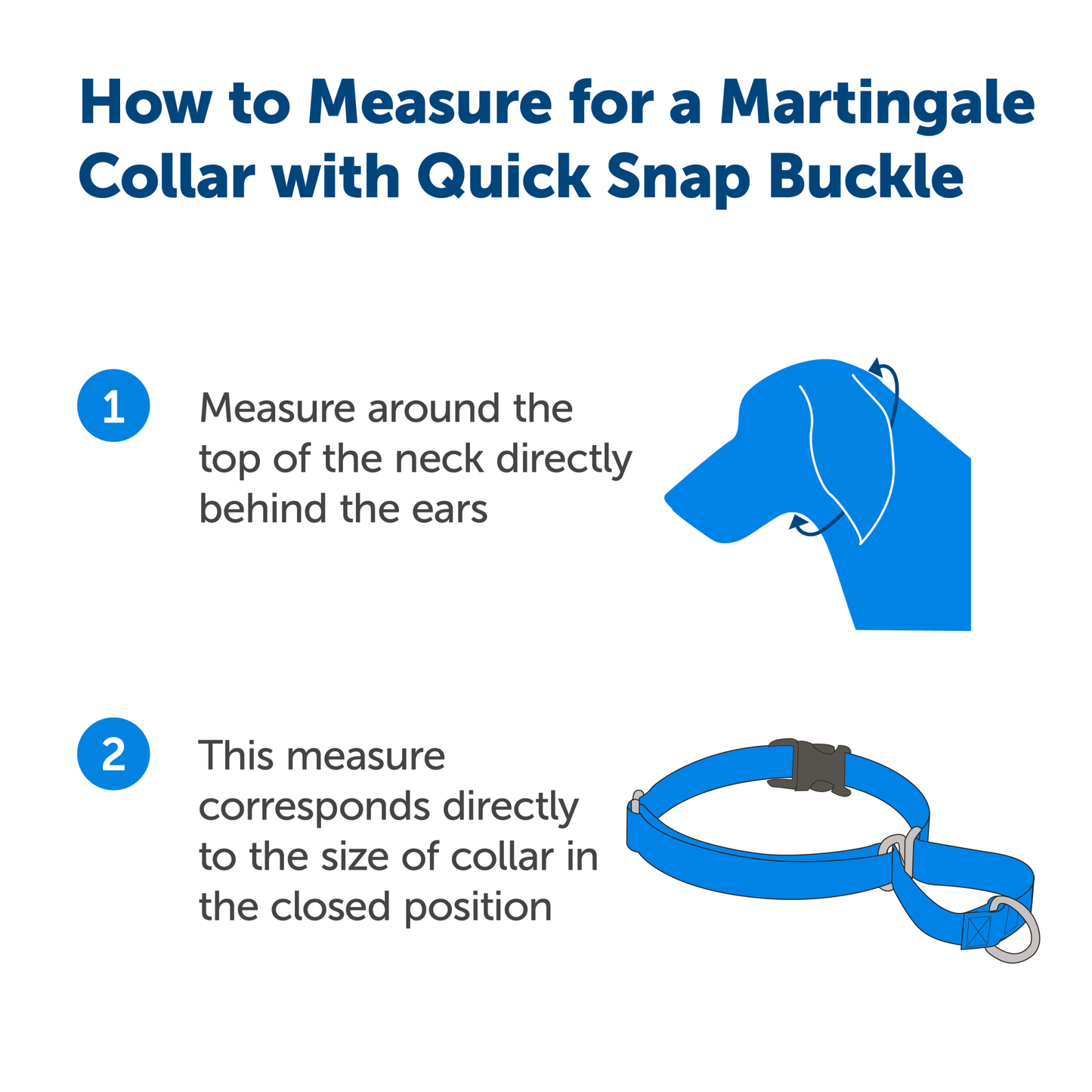 Martingale Collar with Quick Snap Buckle
