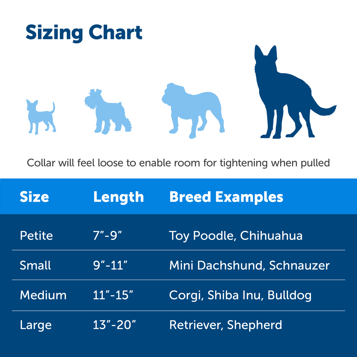 Martingale Collar with Quick Snap Buckle