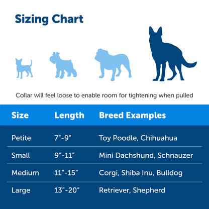 Martingale Collar with Quick Snap Buckle