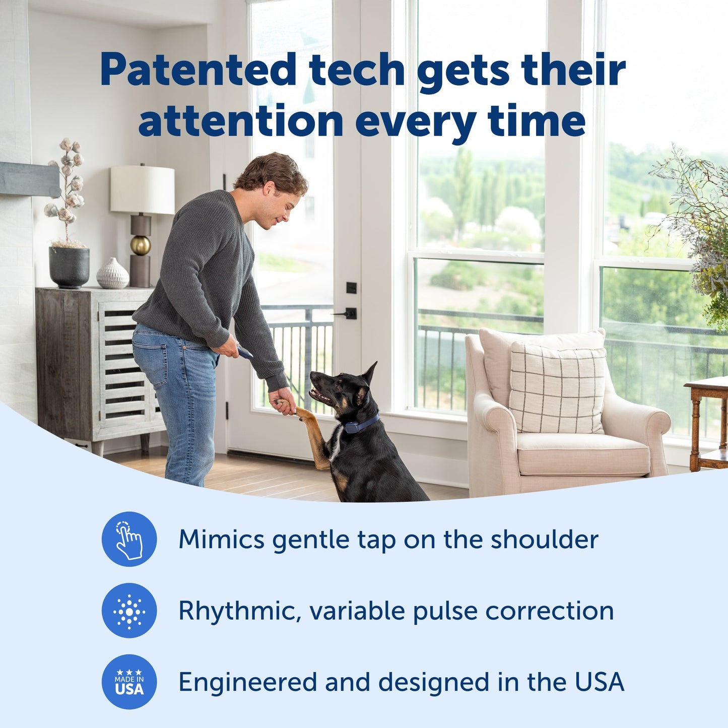 Basic Dog Trainer with Remote