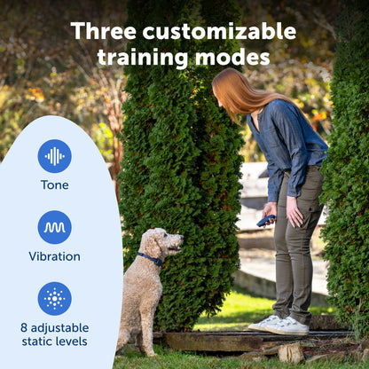 Basic Dog Trainer with Remote