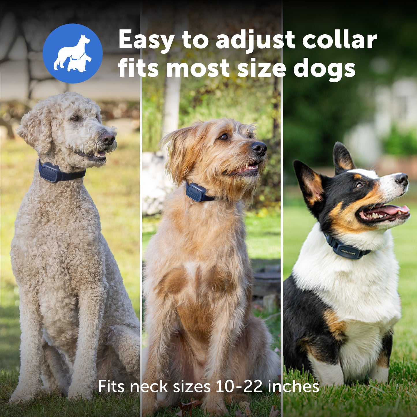 Basic Dog Trainer with Remote