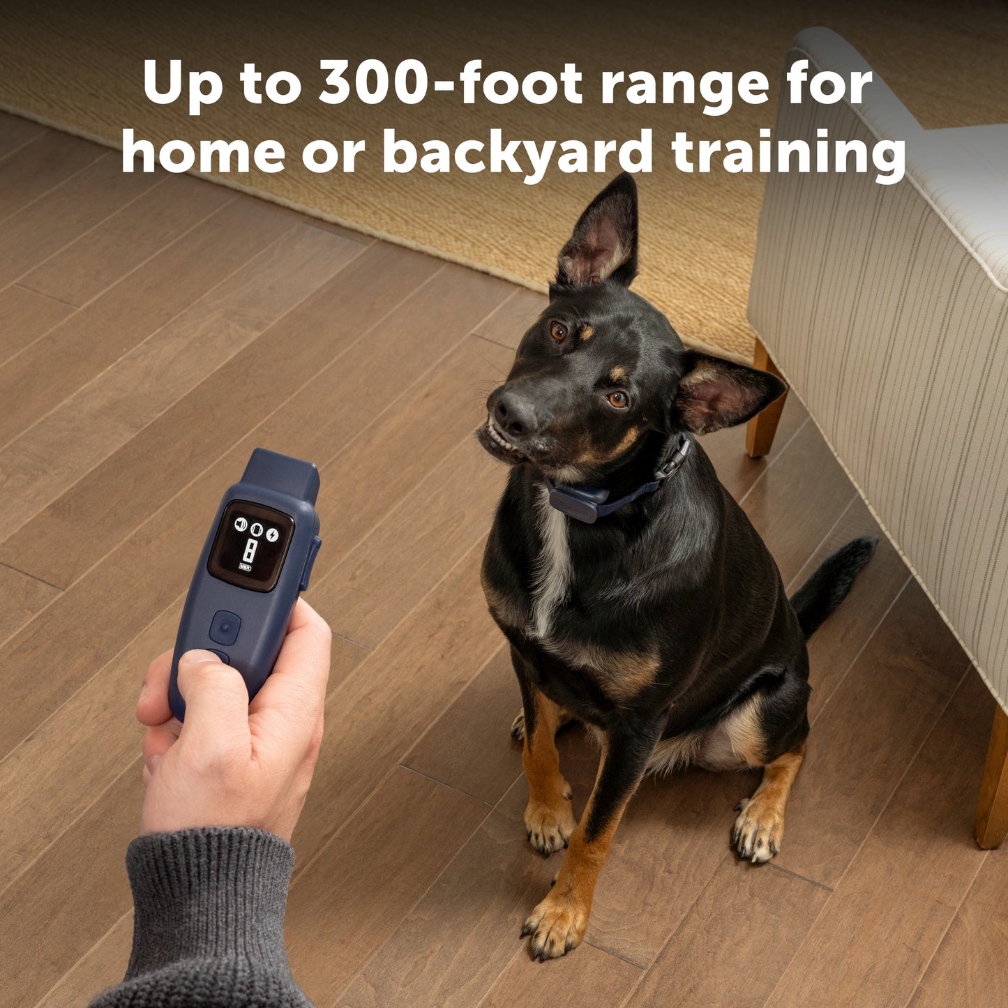 Basic Dog Trainer with Remote