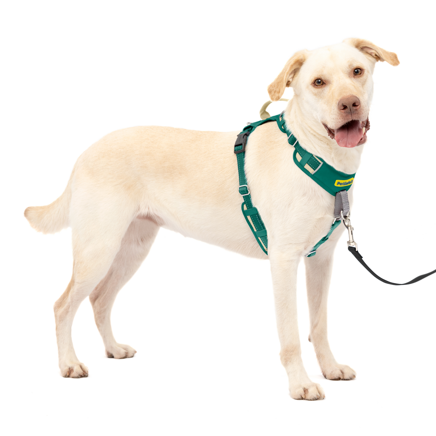 Easy Walk® Comfort No-Pull Dog Harness