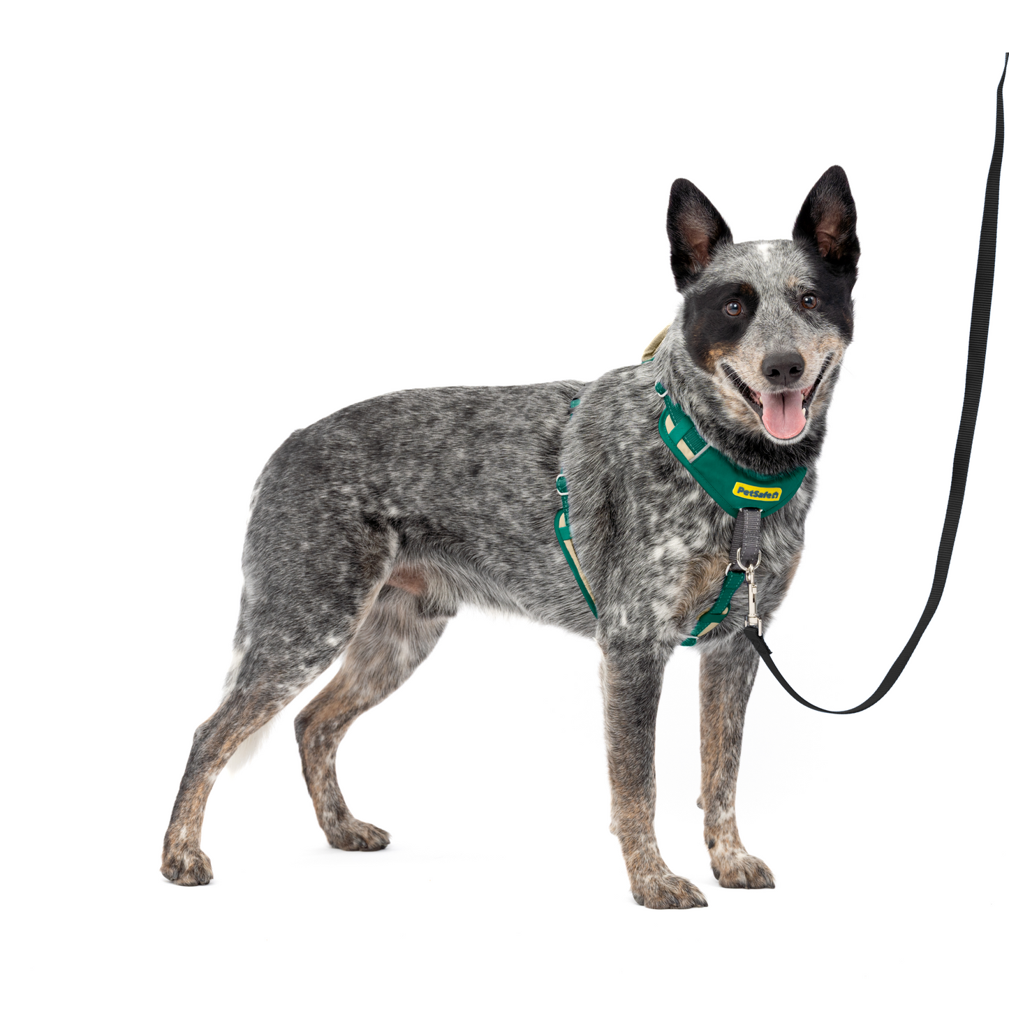 Easy Walk® Comfort No-Pull Dog Harness