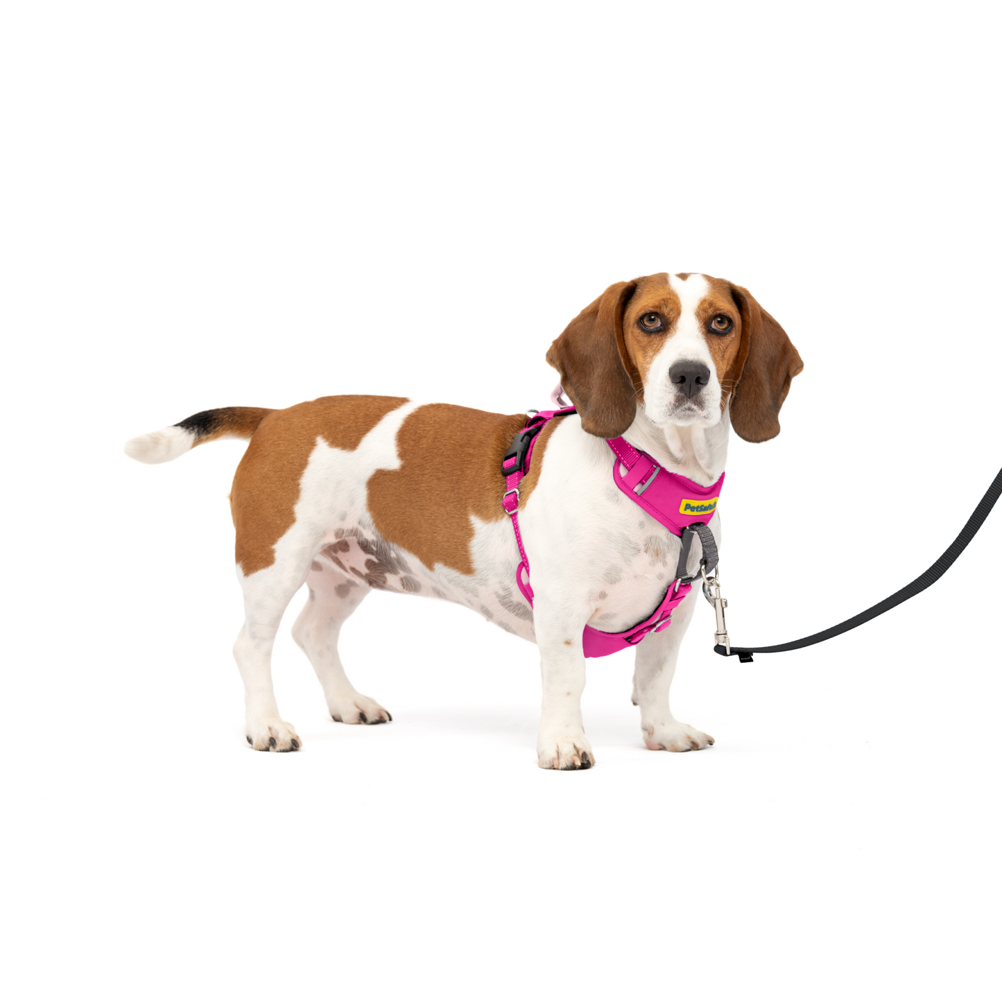 Easy Walk® Comfort No-Pull Dog Harness