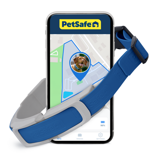 Guardian® GPS + Tracking Dog Fence Collar