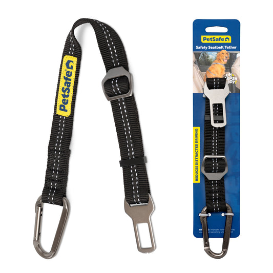 Safety Seatbelt Tether