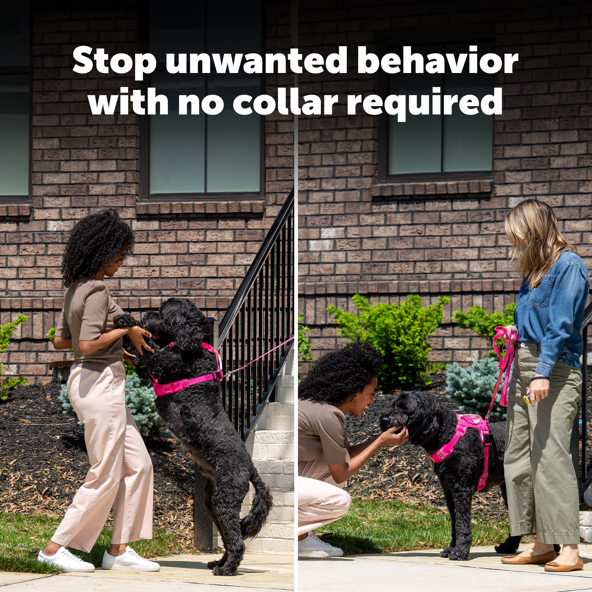 Two women walking, a black dog on a leash with text 'Stop unwanted behavior with no collar required' against a brick wall.