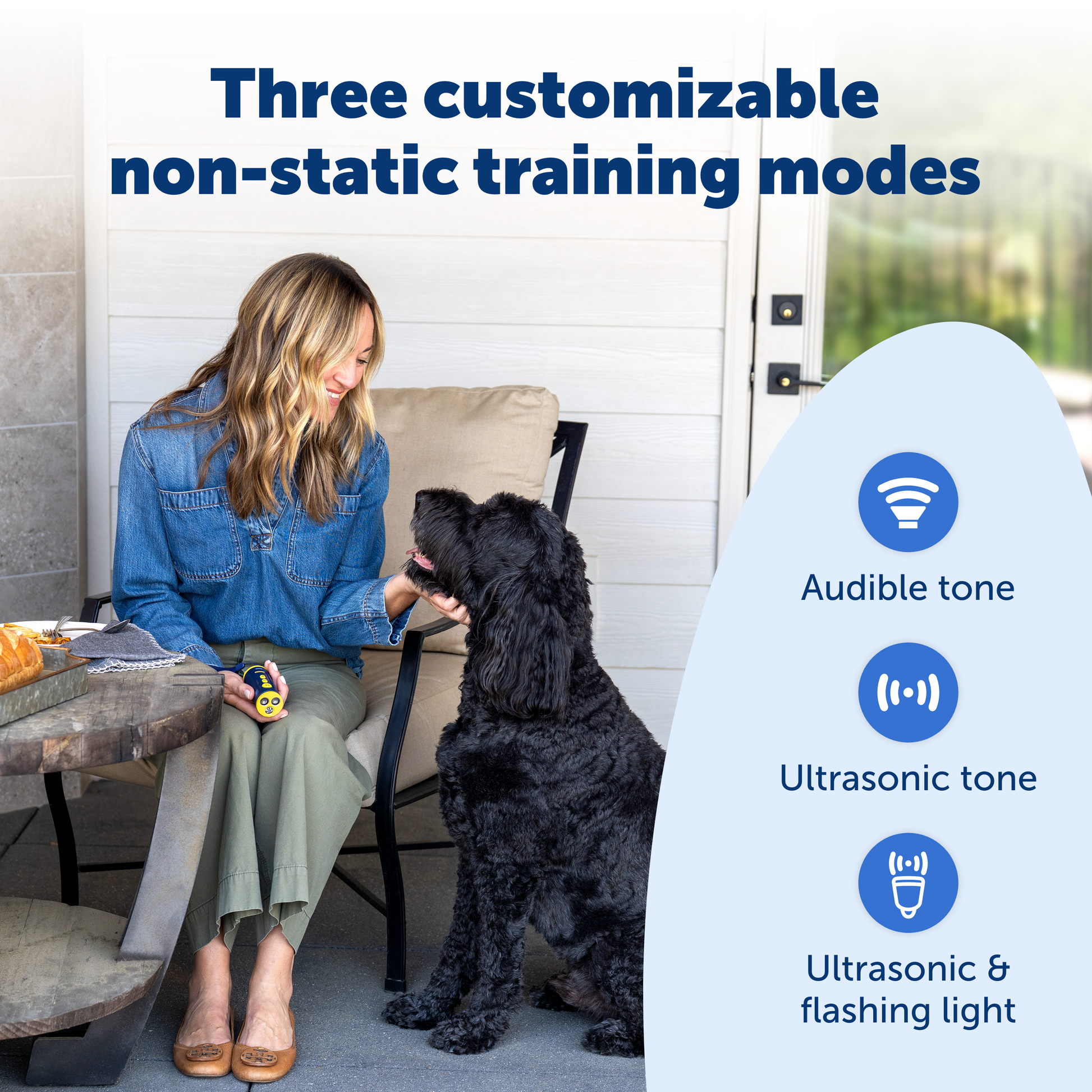 Woman training a dog with customizable non-static training modes displayed on the right.