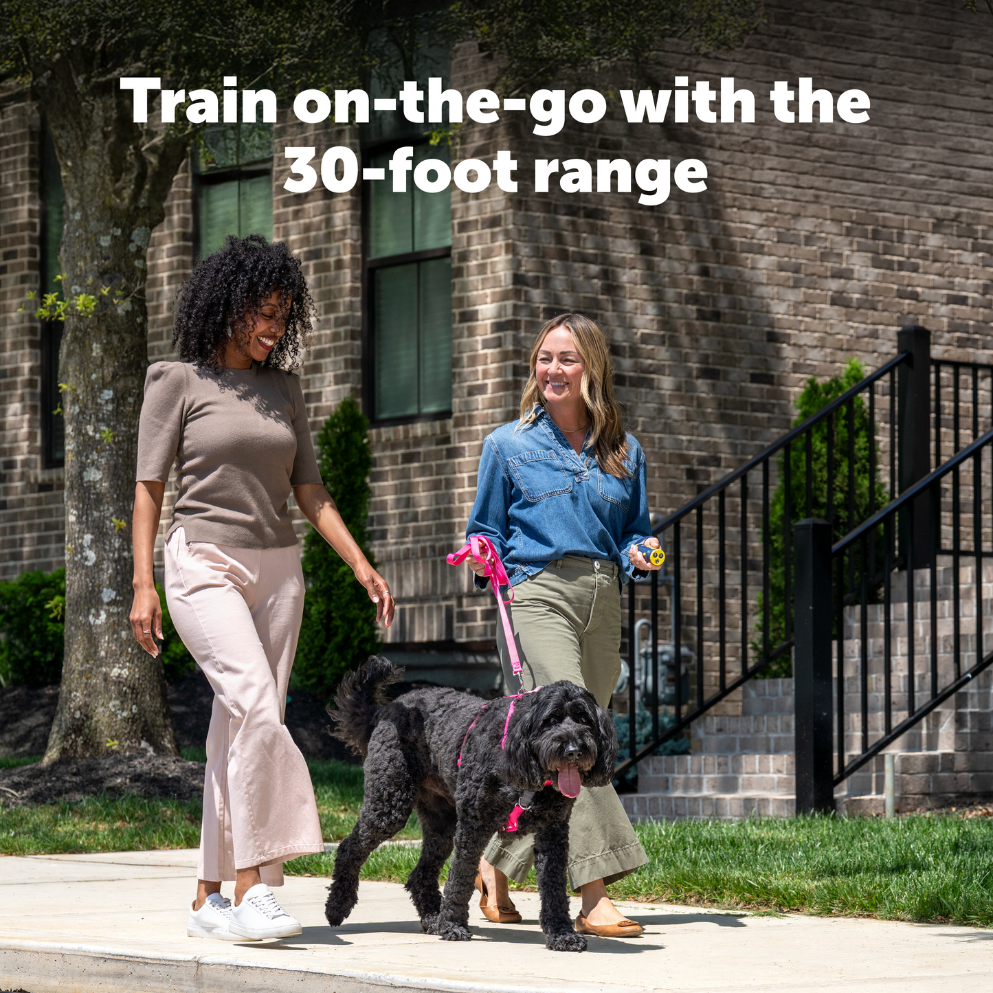 Two women walking a dog on a leash with text about a 30-foot range.