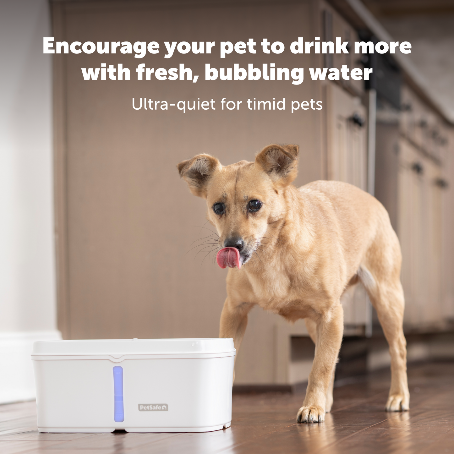 Viva™ Pet Fountain